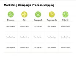 Marketing Campaign Process Mapping Touchpoints Powerpoint Presentation Summary Icon