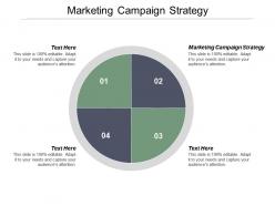 Marketing campaign strategy ppt powerpoint presentation infographics guide cpb