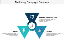 Marketing campaign structure ppt powerpoint presentation infographics graphics tutorials cpb