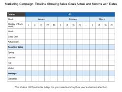 Marketing campaign timeline showing sales goals actual and months with dates