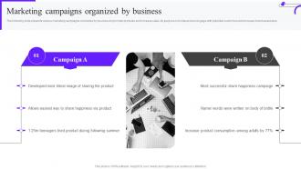 Marketing Campaigns Organized By Business Marketing Mix Strategy Guide Mkt Ss V