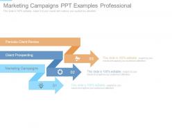 Marketing campaigns ppt examples professional