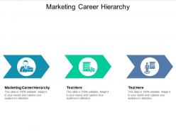 Marketing career hierarchy ppt powerpoint presentation ideas picture cpb