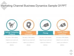 Marketing channel business dynamics sample of ppt