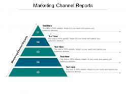 Marketing channel reports ppt powerpoint presentation summary pictures cpb