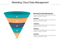 Marketing cloud data management ppt powerpoint presentation summary background cpb