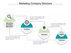 Marketing company structure ppt powerpoint presentation file themes cpb