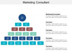 Marketing consultant ppt powerpoint presentation ideas graphics cpb