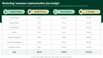 Marketing Consumer Communication Plan Budget Developing Corporate Communication Strategy Plan