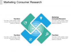 Marketing consumer research ppt powerpoint presentation icon introduction cpb