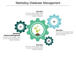Marketing database management ppt powerpoint presentation icon format ideas cpb