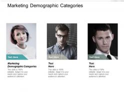 Marketing demographic categories ppt powerpoint presentation portfolio layouts cpb