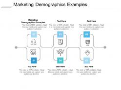 Marketing demographics examples ppt powerpoint presentation outline file formats cpb