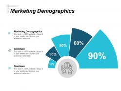 Marketing demographics ppt powerpoint presentation gallery mockup cpb