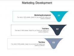Marketing development ppt powerpoint presentation icon designs cpb