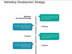 Marketing development strategy ppt powerpoint presentation styles picture cpb