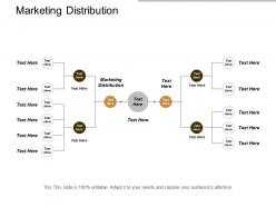 Marketing distribution ppt powerpoint presentation visual aids cpb