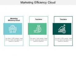 Marketing efficiency cloud ppt powerpoint presentation layouts picture cpb