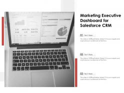 Marketing executive dashboard for salesforce crm