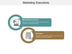 Marketing executives ppt powerpoint presentation icon diagrams cpb