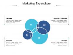 Marketing expenditure ppt powerpoint presentation icon background cpb