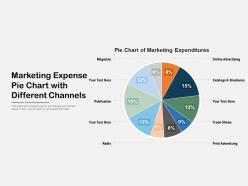 Marketing Expense Pie Chart With Different Channels