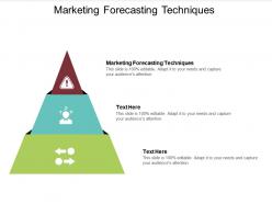 Marketing forecasting techniques ppt powerpoint presentation outline format cpb