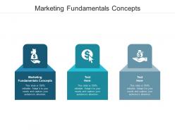 Marketing fundamentals concepts ppt powerpoint presentation portfolio maker cpb
