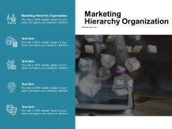 Marketing hierarchy organization ppt powerpoint presentation portfolio slides cpb