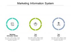 Marketing information system ppt powerpoint presentation styles layout ideas cpb