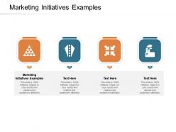 Marketing initiatives examples ppt powerpoint presentation visual aids cpb