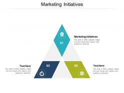 Marketing initiatives ppt powerpoint presentation slides diagrams cpb