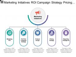 Marketing initiatives roi campaign strategy pricing product reporting