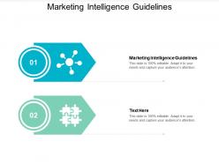 Marketing intelligence guidelines ppt powerpoint presentation gallery background cpb