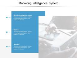 Marketing intelligence system ppt powerpoint presentation infographic template show cpb