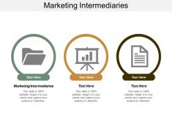 Marketing intermediaries ppt powerpoint presentation gallery inspiration cpb