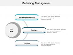 marketing_management_ppt_powerpoint_presentation_gallery_ideas_cpb_Slide01