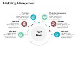 Marketing management ppt powerpoint presentation gallery slides cpb