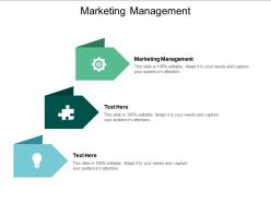 Marketing management ppt powerpoint presentation visual aids styles cpb