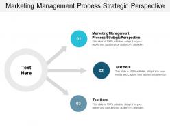 Marketing management process strategic perspective ppt powerpoint presentation inspiration example cpb