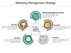 Marketing management strategy ppt powerpoint presentation gallery graphics example cpb