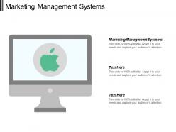 Marketing management systems ppt powerpoint presentation file example introduction cpb