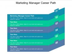 Marketing manager career path ppt powerpoint presentation infographics example cpb