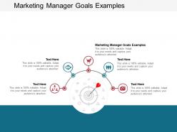 Marketing manager goals examples ppt powerpoint presentation gallery graphics pictures cpb