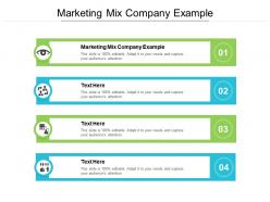 Marketing mix company example ppt powerpoint presentation gallery infographic template cpb