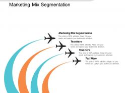 Marketing mix segmentation ppt powerpoint presentation professional graphics template cpb