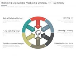 Marketing mix setting marketing strategy ppt summary