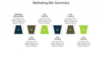 Marketing mix summary ppt powerpoint presentation model summary cpb