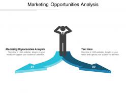 Marketing opportunities analysis ppt powerpoint presentation summary inspiration cpb