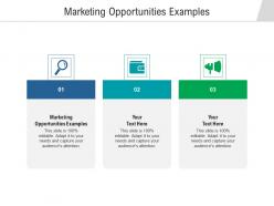 Marketing opportunities examples ppt powerpoint presentation layouts layouts cpb